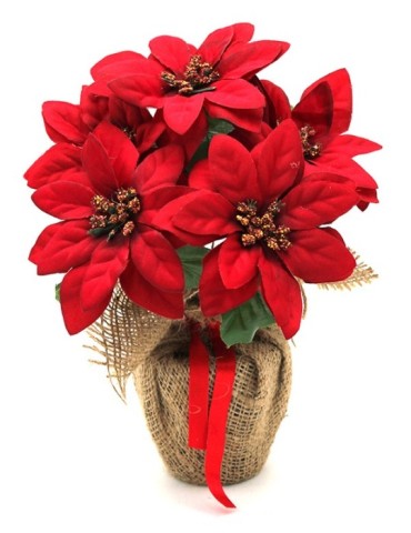 MACETA  POINSETIA  NAVIDAD
