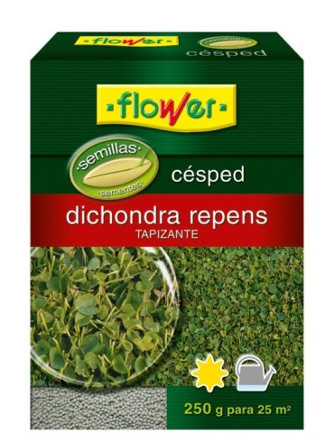 SEMILLAS  CÉSPED  DICHONDRA  REPENS  250  GR