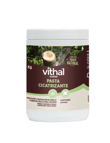 PASTA  CICATRIZANTE  ARBOLES  1  KG  VG11004005