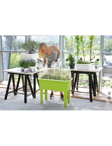 HUERTO  URBANO  POLIPR  PISTACHO  77X38X82CM  DREP770PS