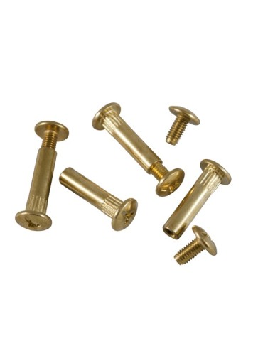 TORNILLO  +  TUBO  LATONADO  BL  4  8X40  MM  PT0613