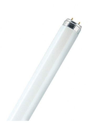 TUBO  FLUORESCE  LUMILUX  PLUS  T8  LF  36  W  26/21-865