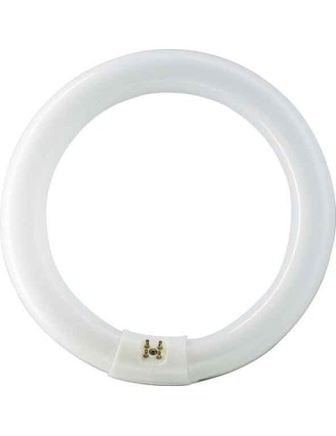 TUBO  FLUORESCE  CIRCULAR  T9  307  MM  L32/840