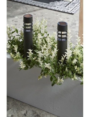 BALIZA  SOLAR  MONTELIMAR  5LM  IP44  -  IL231870