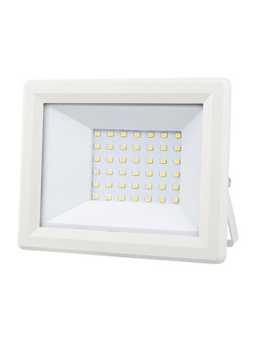 FOCO  LED  BLANCO  IP65  30  W  PT1777