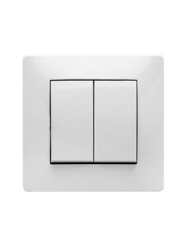 INTERRUPTOR  DOBLE  EMPOTRAR  BLANCO  10  A  9303