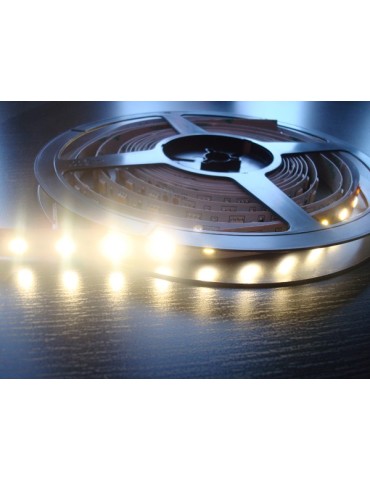 TIRA  LED  KIT  C/TRANSF  LF  5000K  4,8W/M  3  M  240350