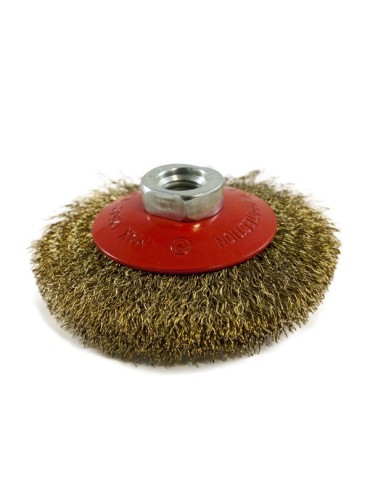 CEPILLO  INDUSTRIAL  CONICO  100  MM  PT0768