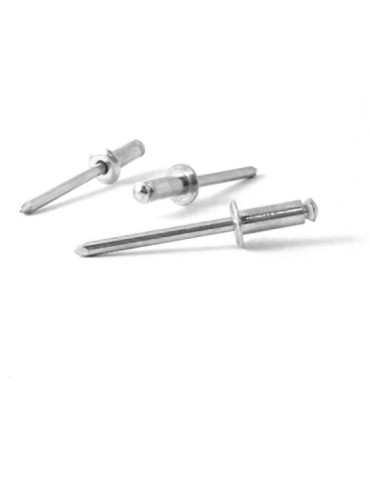 REMACHE  FLOR  AL  C/A  200  UDS  4,8X30  MM  01130004830