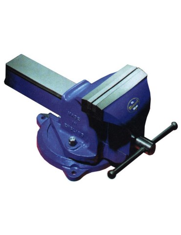 TORNILLO  BANCO  BRICOLAGE  F  100  MM  T41211000