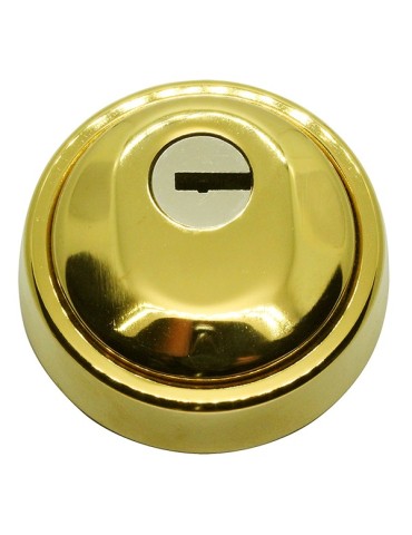 ESCUDO  ALTA  SEG.  ACERO  ORO  -  10200P