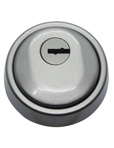 ESCUDO  ALTA  SEG.  ACERO  PLATA  -  10203