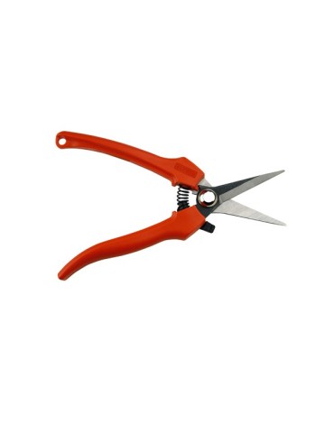 TIJERA  VENDIMIA  Y  RECOLECCION  18  CM  1261