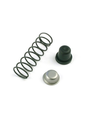 MUELLE+TOPE  RECAMBIO  2UNIDADES  -  5172