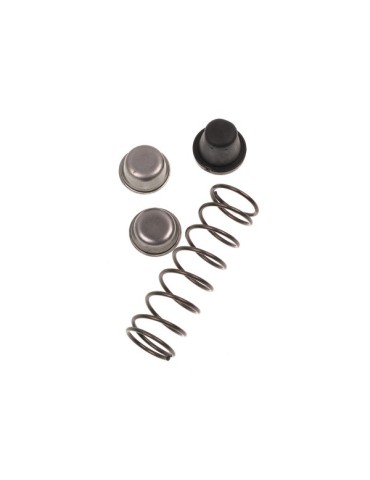 MUELLE+TOPES  RECAMBIO  -  R1068