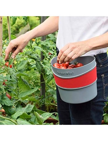 RECOGE  FRUTAS  CESTO  -  GKN/LGTRUGPOP