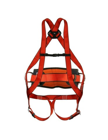 ARNES  10  BASIC+CINTURON  25C  -  PT1089