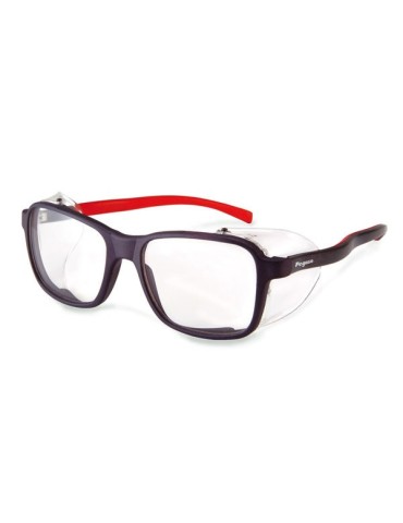 GAFAS  PROTECCION  INCOLORA  -  2009  EUROPA