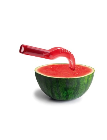 CORTADOR  SANDIA  PLASTICO  22  CM  749800