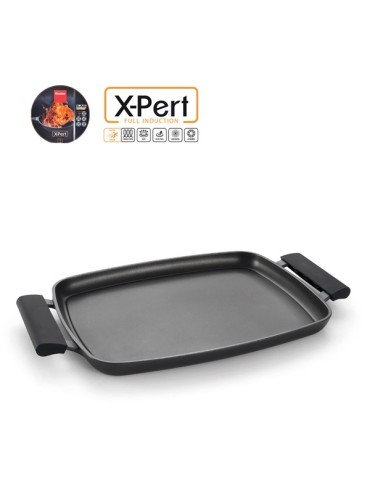 ASADOR  PARILLA  LISO  XPERT  47X29  CM  310572000