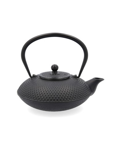 TETERA  HIERRO  C/FIL  INOX  AISSA  800  ML  7407083