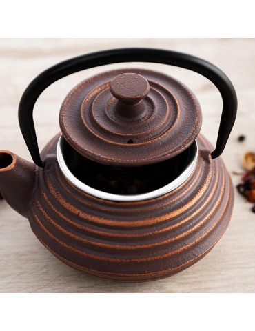 TETERA  HIERRO  C/FILTRO  INOX  SERENIA  30  CL  7975000