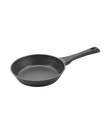 SARTEN  ALUMINIO  INDUC  XPERT  22  CM  310522000