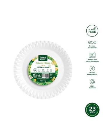 PLATO  DESECHAB  LLANO  CARTON  BCO  B/10  23  CM  10102