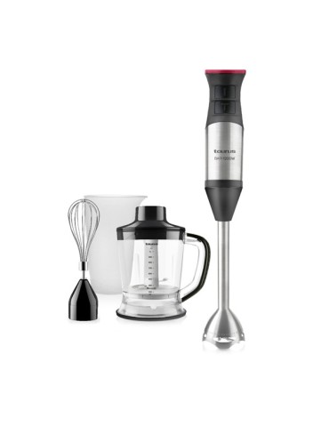 BATIDORA  BAPI  PLUS  INOX  1200  W  916366000