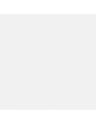 PAPEL  ADHESI.  TRANS.  BR.  R/15M  45  CM  73081