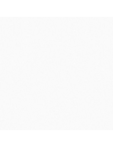 PAPEL  ADHESI.  TRANS.MATE  R/15M  45  CM  73084