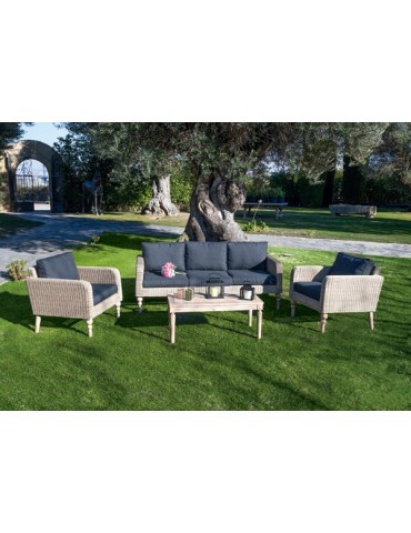 CONJUNTO  RATAN  FIJI  4  PZAS  C2-0041