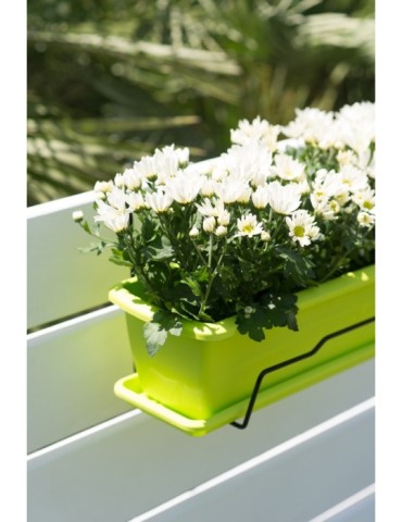 BALCONERA+SOPORTE  PISTACHO  50  CM  SC20PS