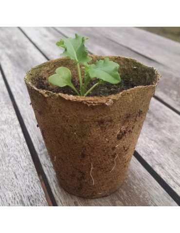 MACETA  DE  TURBA  REDONDA  -  B2001