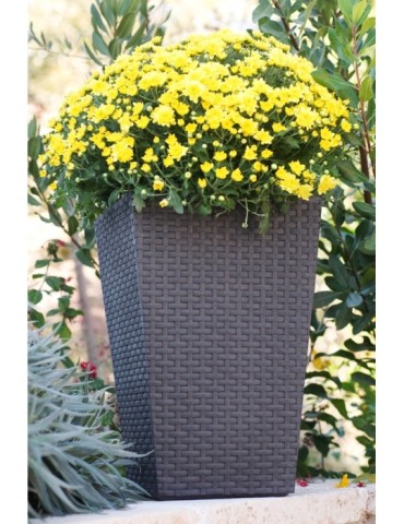 MACETERO  RATAN  55  L  39X39X57  193918