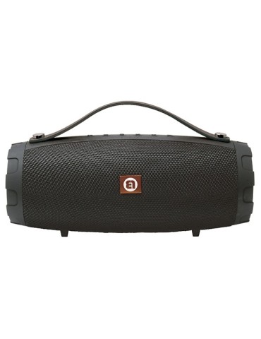 ALTAVOZ  POTENTE  2  ALTAV  15  W  -  PD-75