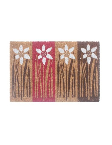 FELPUDO  COCO  DUO  RECTO  40X60  CM  55180