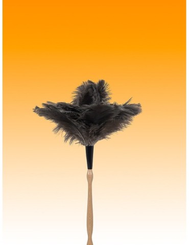 PLUMERO  AVESTRUZ  M/TORNEADO  60  CM  1010306