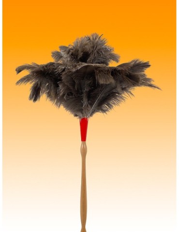 PLUMERO  AVESTRUZ  M/TORNEADO  60  CM  1010305