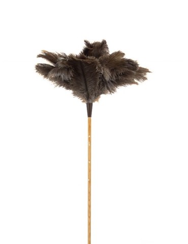 PLUMERO  AVESTRUZ  M/VARILLA  60  CM  1010204
