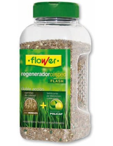 SEMILLA  REGENERADOR  CESPED  500  G  10709