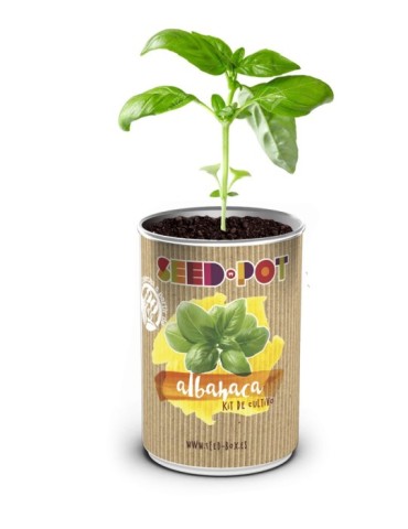 LATA  CULTIVO  SEMILLA  ALBAHACA  -  62726