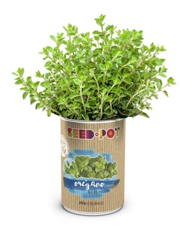 LATA  CULTIVO  SEMILLA  OREGANO  -  62727