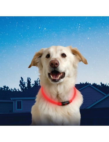 COLLAR  PERRO  LUZ  ROJA  LED  -  NHO-10-R3