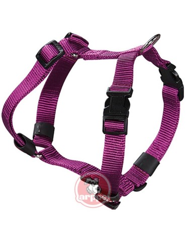 ARNES  PERRO  NYLON  MORADO  33-45  CM  2241011011