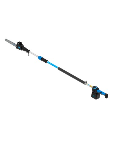 CAMPAGNOLA MOTOSIERRA ALTURA T-REX LN240920