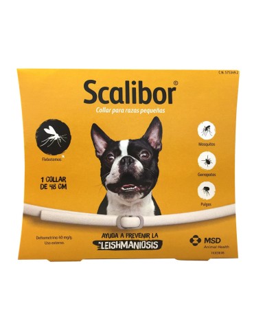 COLLAR SCALIBOR 48CM 12 MESES