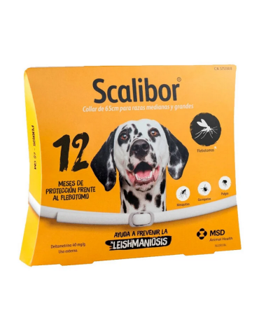 COLLAR SCALIBOR 65CM 12 MESES